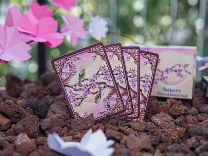 Sakura Renaissance Sunlight Edition