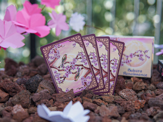 Sakura Renaissance Sunlight Edition